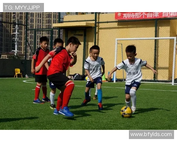 足球培训照片展示青少年成长与团队精神的精彩瞬间