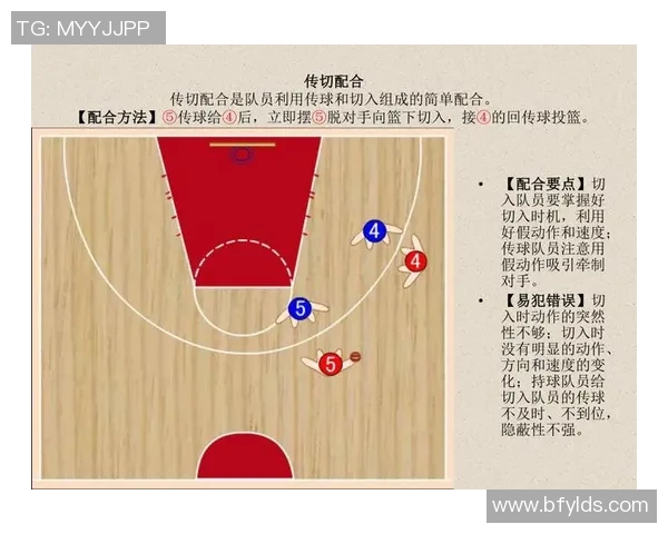 南京篮球队的灵活性揭秘：从战术到球员的全面分析与探讨